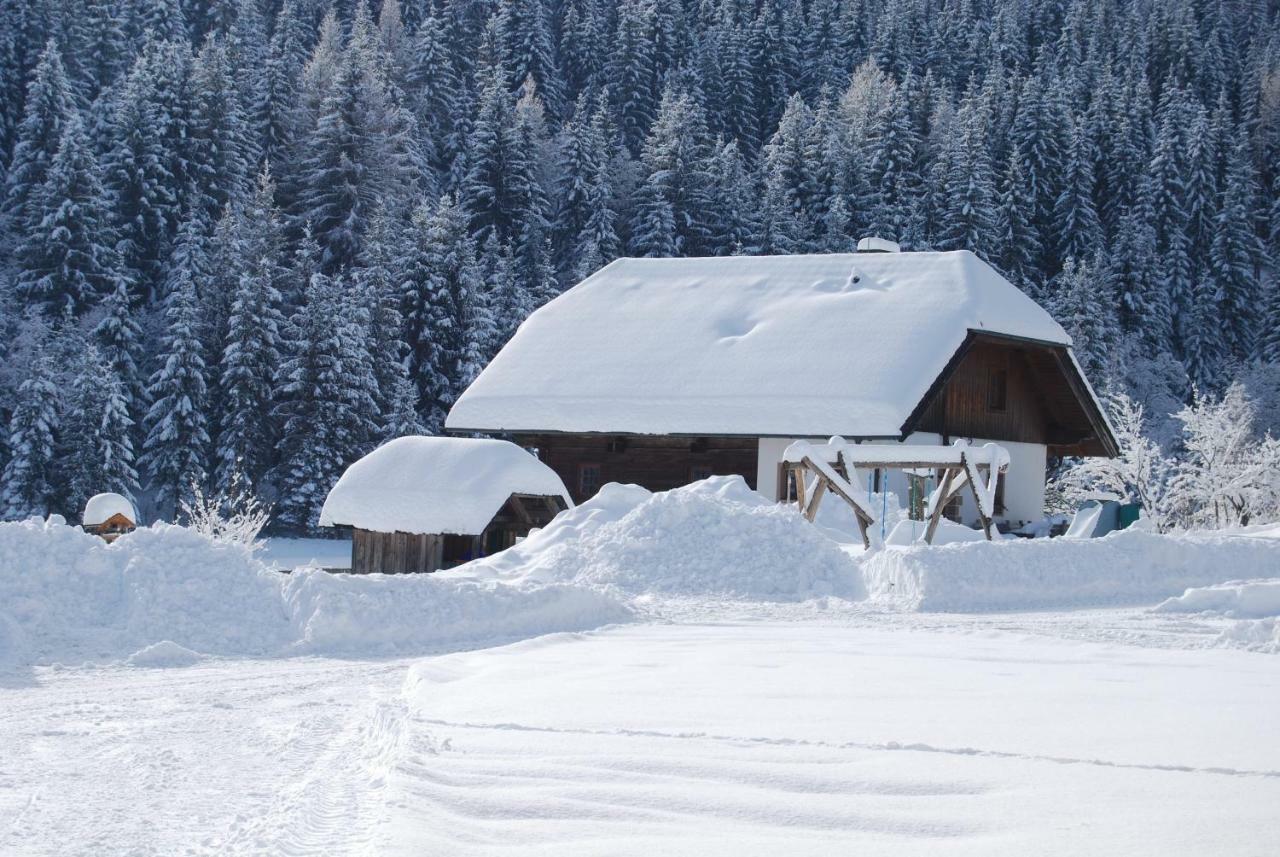 Ferienhaus Gobald Мурау Экстерьер фото